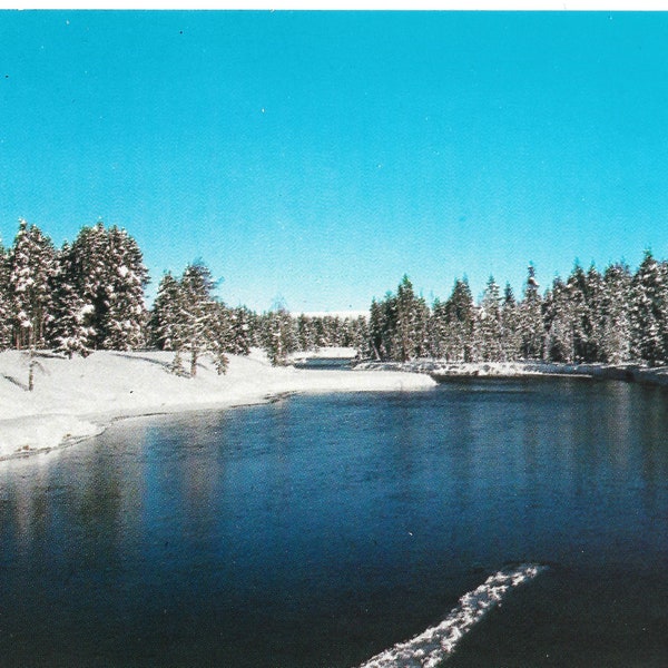 Buffalo River - Island Park, Idaho - Vintage Postcard