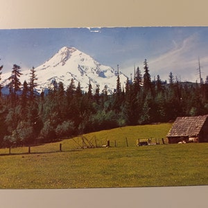 Mount Hood - Cascade Range nabij Portland, Oregon - Vintage briefkaart