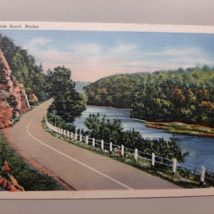 Riverside Road - Maine - Vintage Postcard
