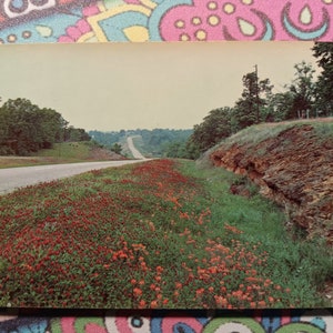 Vista panoramica sull'autostrada - Texas orientale - Cartolina d'epoca