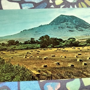 Bear Butte in Northern Black Hills, South Dakota - Vintage Postcard