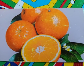 Floridas navlar - Vintagevykort