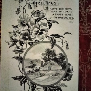 Birthday Greetings - Vintage Postcard