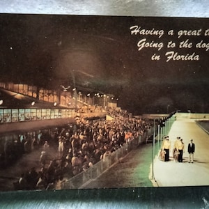 Carreras de galgos - Ir a los perros - Florida - Postal vintage