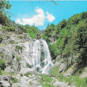 Parc national de Kings Canyon - Californie - carte postale vintage