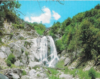 Kings Canyon National Park - California - Vintage Postcard