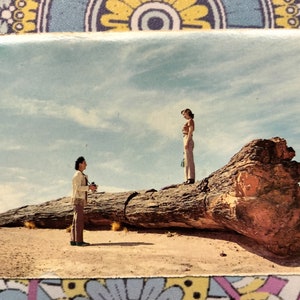 Old Faithful - one of largest petrified logs in Rainbow Forest - Petrified Forest National Monument, Arizona - Vintage Postcard