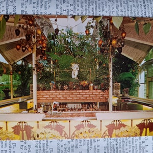 The Kapok Tree Inn - Clearwater Beach - Florida - Postal Vintage