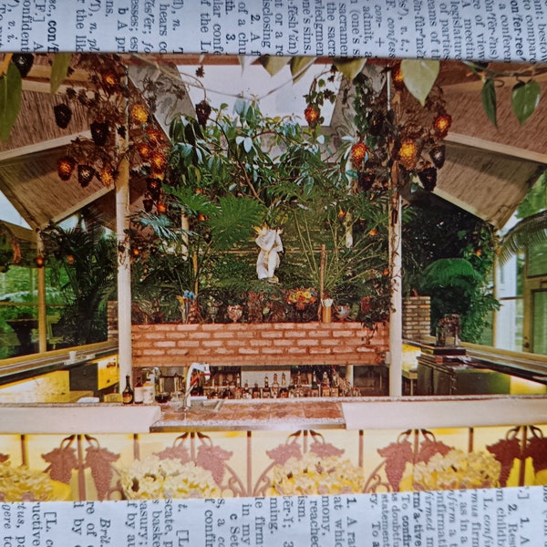 The Kapok Tree Inn - Clearwater Beach  - Florida - Vintage Postcard