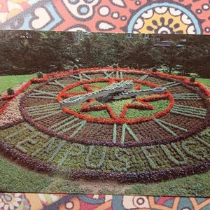 May include: A vintage postcard featuring a large floral clock in a garden setting. The clock face is composed of various colored flowers, with Roman numerals and the words "TEMPUS FUGIT" spelled out in greenery. The hands of the clock are also made of flowers.