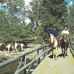 Équitation dans le parc national du Grand Teton - carte postale vintage
