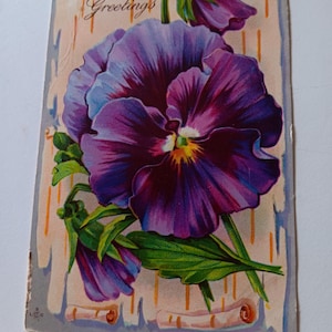 Birthday Greetings - Vintage Postcard