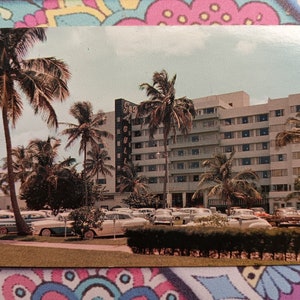 Die Möwe – eines der berühmtesten Hotels von Miami Beach, Florida – Vintage-Postkarte