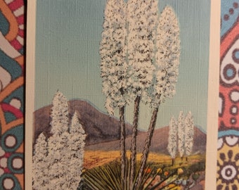 Yucca - Flower of the Desert - 1947 Vintage Postcard