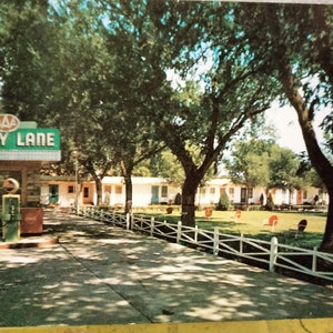 Shady Lane Motel - Kearney, Nebraska - Carte postale ancienne
