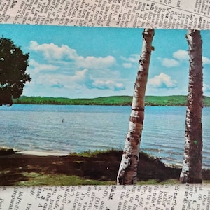Platte Lake - Near Honor, Michigan - Vintage Postcard