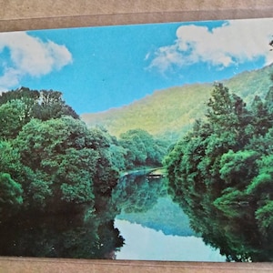 Beautiful Lake Cumberland - Kentucky - Vintage Postcard