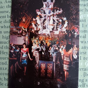 Enchanted Tiki Room - Disneyland - Vintage Postcard