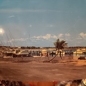Muelles de entrada de Boynton - Boynton Beach, Florida - Postal vintage