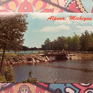 Island Park in the Alpena Wildfowl Sanctuary- Alpena, Michigan -  Vintage Postcard