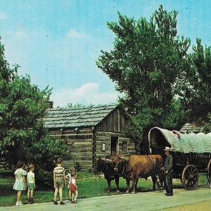 Ox Team et Conestoga Wagon dans le parc d'État de New Salem - New Salem, Illinois - Carte postale vintage 1964
