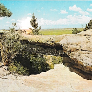 Agate Bridge - Petrified Forest National Monument, Arizona - Vintage Postcard