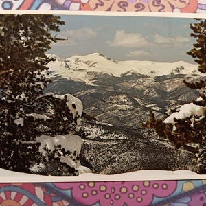 James Peak - À l'ouest de Bergen Park - Rocheuses du Colorado - Carte postale ancienne