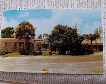 Boynton Lodge - Boynton Beach, Florida - Vintage Postcard