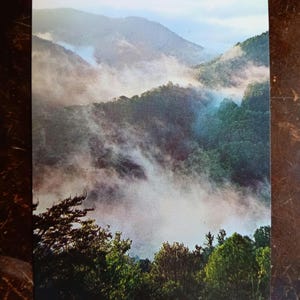 Brumes matinales - Parc national des Great Smoky Mountains - carte postale ancienne