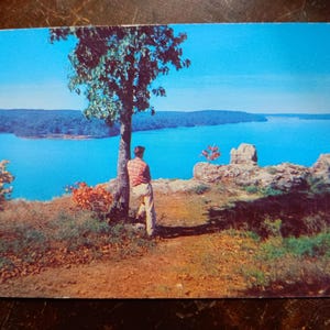 Vista panoramica degli Ozarks - Cartolina d'epoca