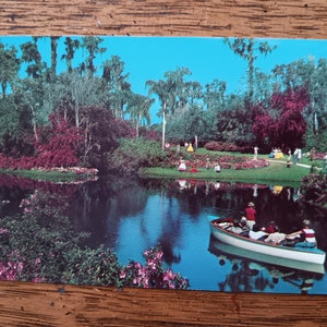 Florida's Cypress Gardens, margens do Lago Eloise - "America's Tropical Wonderland" - Cartão Postal Vintage
