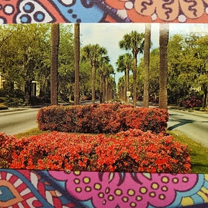 Victory Drive - Savannah, Georgia - Vintage Postkarte