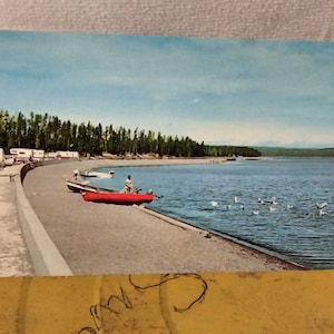 Lac de Yellowstone à Grant Village - Parc national de Yellowstone - Carte postale ancienne