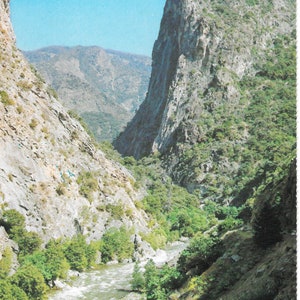 Parc national de Kings Canyon - Californie - carte postale vintage
