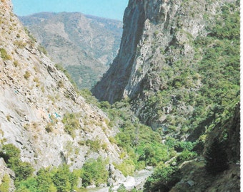 Kings Canyon National Park - California - Vintage Postcard