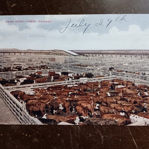 Union Stock Yards - Chicago, Illinois - Cartolina d'epoca