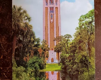 Thr Mountain Lake Singing Tower  - Vintage Postcard