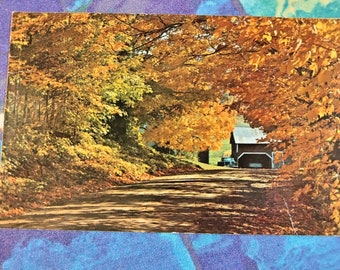 Nature's Arch Way of Color - Vermont's Fall Foliage - Vintage Postcard