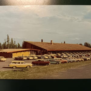 Salle à manger du Canyon Lodge - Canyon Village - Parc national de Yellowstone - Carte postale ancienne