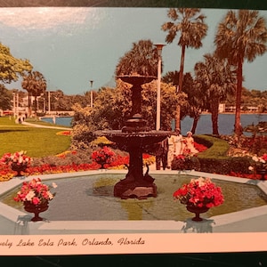 Scene in Lovely Eola Park - Orlando,Florida - Vintage Postcard