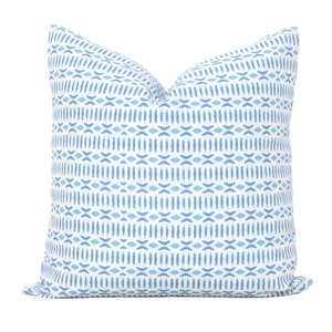 Light Blue Tusk and Dash Decorative Pillow Cover, Throw Pillow, Accent Pillow, Pillow Sham  floral stripe Danika Herrick
