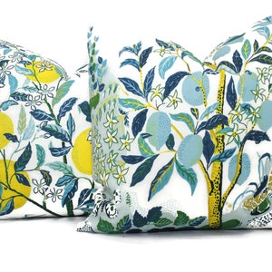 OUTDOOR Citrus Garden Decorative Pillow Cover in Pool  18", 20", 22", 24", 26" or Lumbar Pillow, Schumacher Josef Frank pillow cover