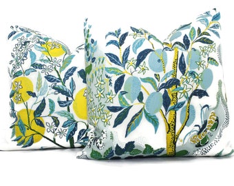 OUTDOOR Citrus Garden Decorative Pillow Cover in Pool  18&quot;, 20&quot;, 22&quot;, 24&quot;, 26&quot; or Lumbar Pillow, Schumacher Josef Frank pillow cover