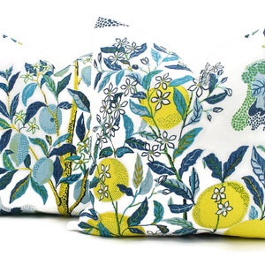 Citrus Garden Decorative Pillow Cover Pool  18x18, 20x20, 22x22, Eurosham or Lumbar Pillow, Schumacher Josef Frank pillow cover, pool