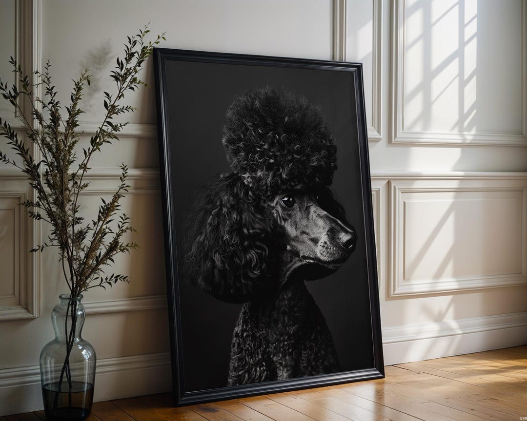 Dog Photography Black Poodle Portrait Print | Modern Minimalist Pet Art ...