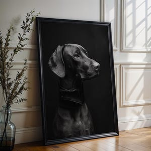 Puede incluir: Un retrato enmarcado en blanco y negro que muestra a un perro Weimaraner con un collar ancho. El perro está capturado de perfil sobre un fondo oscuro. El marco rectangular es negro y contiene la fotografía monocromática del animal.