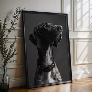 Puede incluir: Retrato enmarcado en blanco y negro de un perro Pointer. El perro lleva un collar negro y tiene una expresión concentrada. La obra de arte está apoyada contra una pared blanca y un suelo de madera.