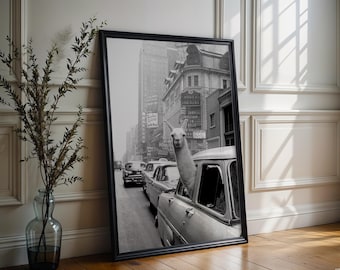 Antoine D'agata - Signed Photo - Magnum Square Print Limited