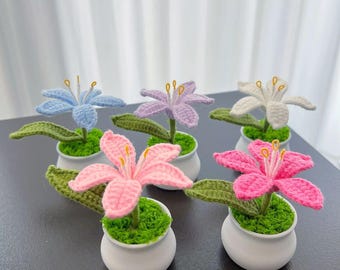 Handmade Crochet Flower Bouquet | Yarn Flowers Gift | Valentine Anniversary Home Decor