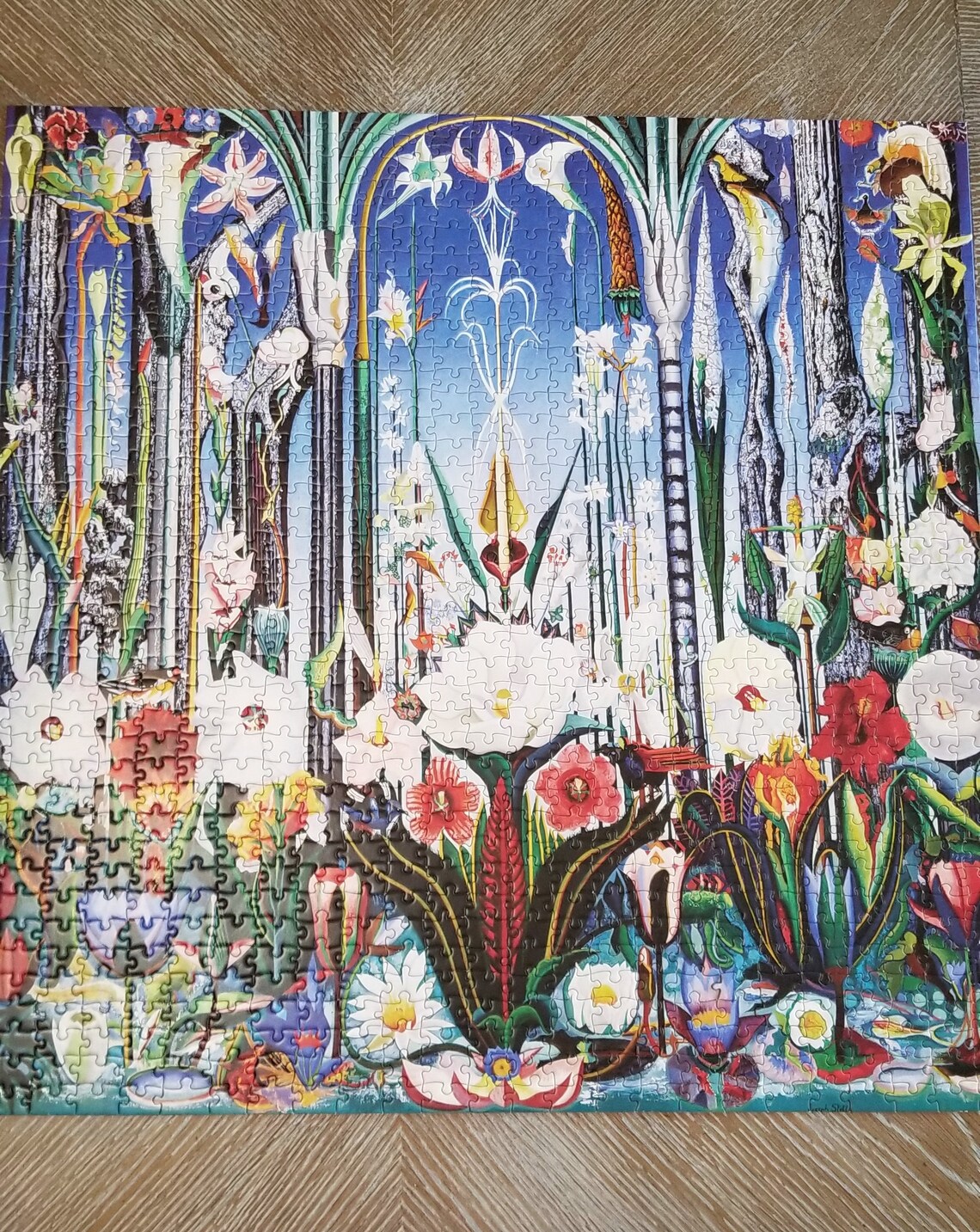 Pomegranate Jigsaw Puzzle 1000 Pcs Flowers Italy Joseph Stella Etsy